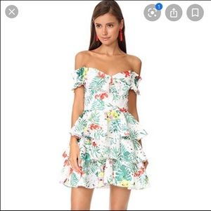 Caroline Constas Helena Lace Dress